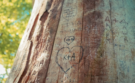 Неделя любви с 17 ноября 2025: троим избранным по восточному гороскопу благоволит Вселенная