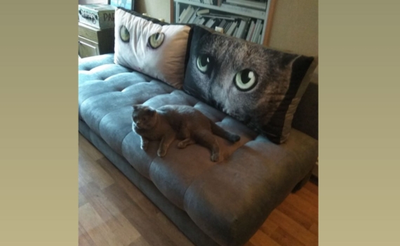 Дом для семьи, а не для паразитов: как навсегда вывести блох из квартиры — проверенный способ Дом для семьи, а не для паразитов: как навсегда вывести блох из квартиры — проверенный способ