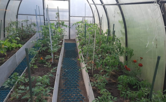 Нет отопления в теплице — не беда: 4 способа укрыть зелень в феврале и получить урожай в марте Нет отопления в теплице — не беда: 4 способа укрыть зелень в феврале и получить урожай в марте