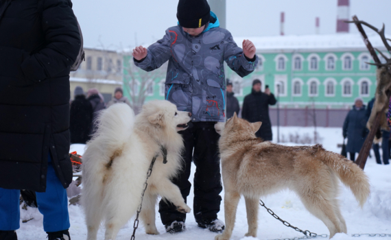 Всего 2 капли — и пуховик как новый: простой трюк, который спасёт и куртку от стирки в машинке Всего 2 капли — и пуховик как новый: простой трюк, который спасёт и куртку от стирки в машинке