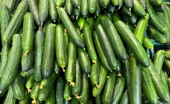 Дачники отмечают: урожай огурцов растет на 30% с этим простым приемом — справится начинающий Дачники отмечают: урожай огурцов растет на 30% с этим простым приемом — справится начинающий