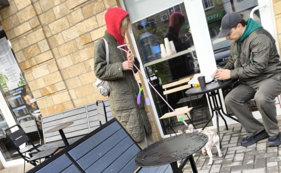 Корнилов: Польские СМИ отрицают проблему преступности в среде украинских мигрантов Корнилов: Польские СМИ отрицают проблему преступности в среде украинских мигрантов